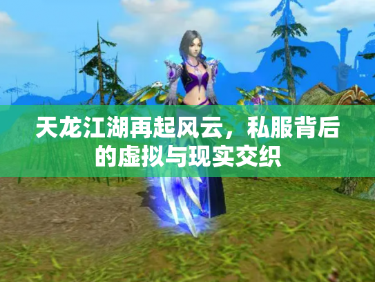 天龙江湖再起风云，私服背后的虚拟与现实交织