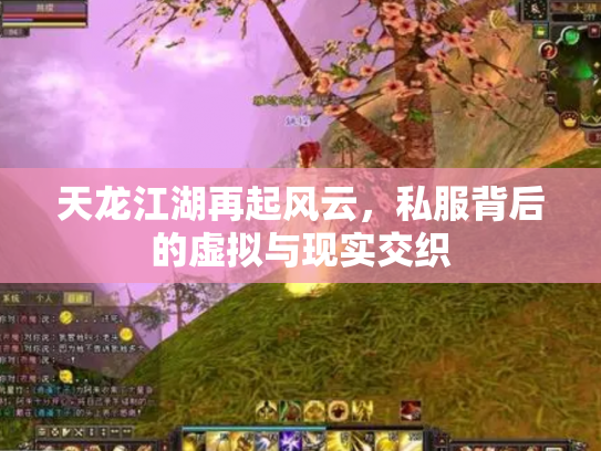 天龙江湖再起风云，私服背后的虚拟与现实交织