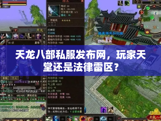 天龙八部私服发布网，玩家天堂还是法律雷区？