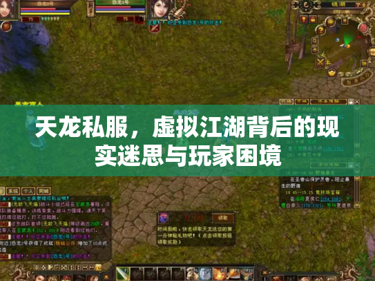 天龙私服，虚拟江湖背后的现实迷思与玩家困境