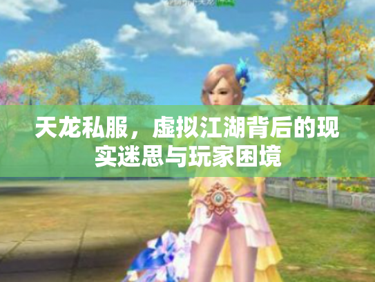 天龙私服，虚拟江湖背后的现实迷思与玩家困境