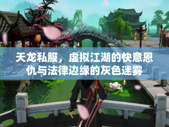 天龙私服，虚拟江湖的快意恩仇与法律边缘的灰色迷雾