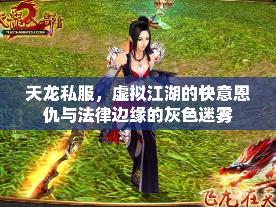 天龙私服，虚拟江湖的快意恩仇与法律边缘的灰色迷雾