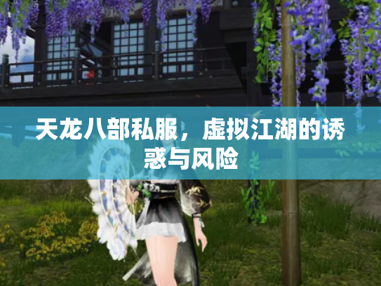 天龙八部私服，虚拟江湖的诱惑与风险