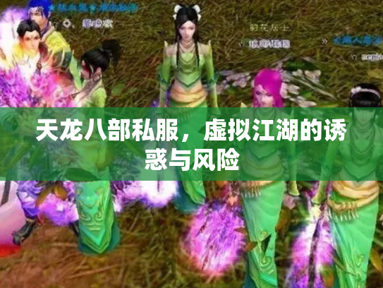 天龙八部私服，虚拟江湖的诱惑与风险