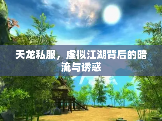天龙私服，虚拟江湖背后的暗流与诱惑