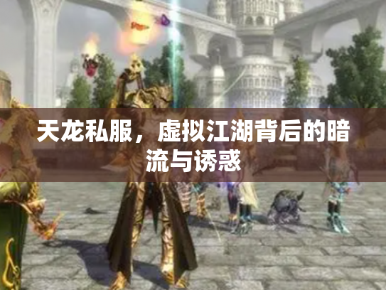 天龙私服，虚拟江湖背后的暗流与诱惑
