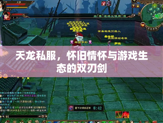 天龙私服，怀旧情怀与游戏生态的双刃剑