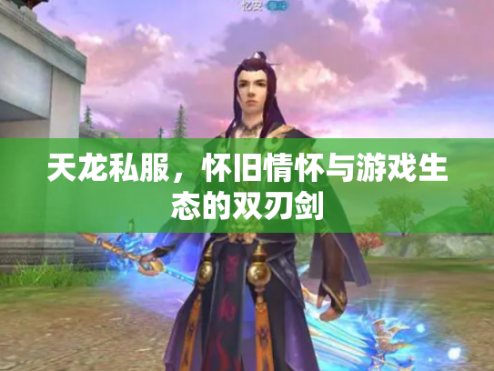 天龙私服，怀旧情怀与游戏生态的双刃剑