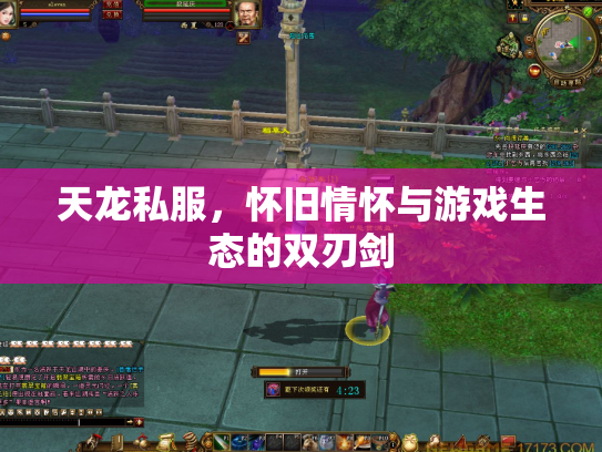天龙私服，怀旧情怀与游戏生态的双刃剑