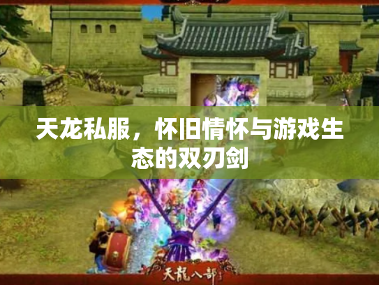 天龙私服，怀旧情怀与游戏生态的双刃剑