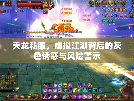 天龙私服，虚拟江湖背后的灰色诱惑与风险警示