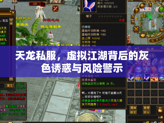 天龙私服，虚拟江湖背后的灰色诱惑与风险警示
