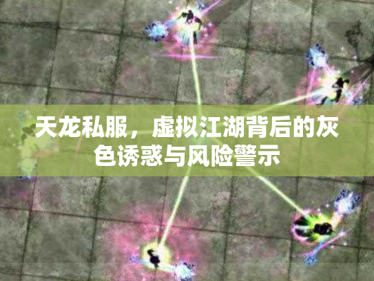 天龙私服，虚拟江湖背后的灰色诱惑与风险警示