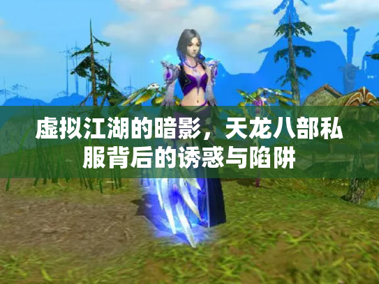 虚拟江湖的暗影，天龙八部私服背后的诱惑与陷阱