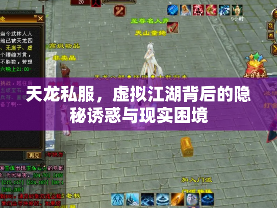 天龙私服，虚拟江湖背后的隐秘诱惑与现实困境