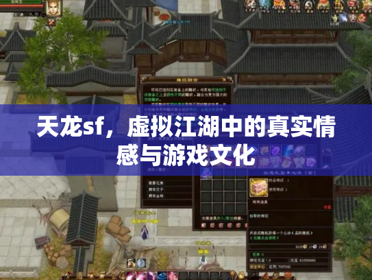 天龙sf，虚拟江湖中的真实情感与游戏文化