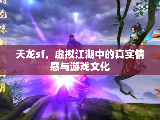 天龙sf，虚拟江湖中的真实情感与游戏文化