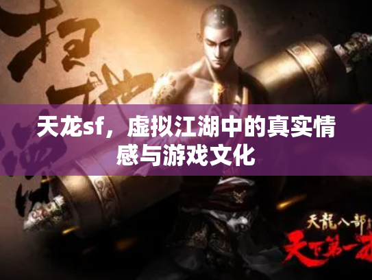 天龙sf，虚拟江湖中的真实情感与游戏文化