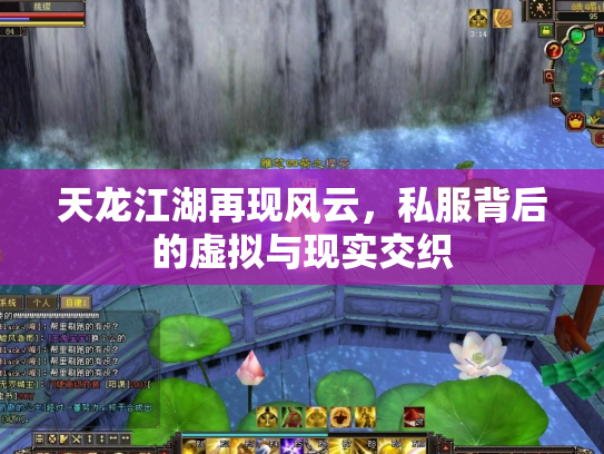 天龙江湖再现风云，私服背后的虚拟与现实交织