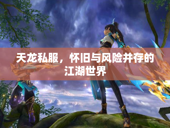 天龙私服，怀旧与风险并存的江湖世界