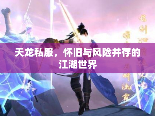 天龙私服，怀旧与风险并存的江湖世界