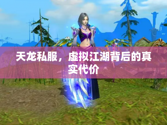 天龙私服，虚拟江湖背后的真实代价