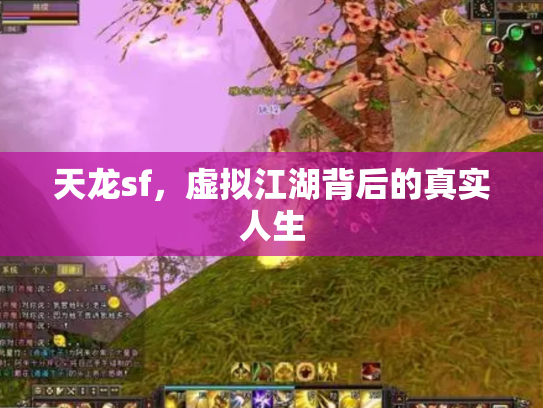 天龙sf，虚拟江湖背后的真实人生