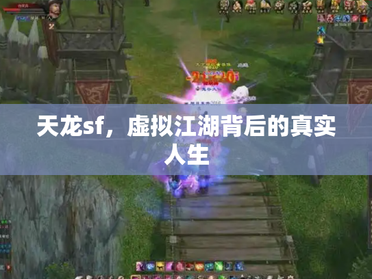 天龙sf，虚拟江湖背后的真实人生