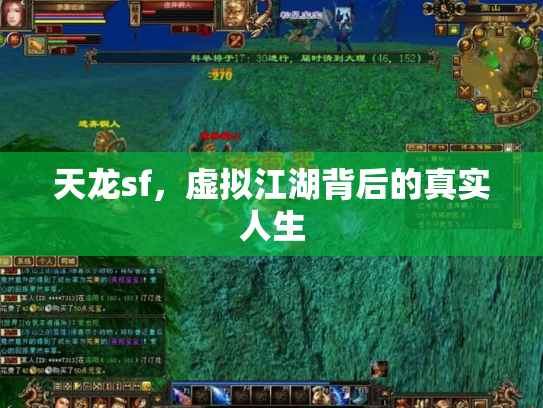 天龙sf，虚拟江湖背后的真实人生
