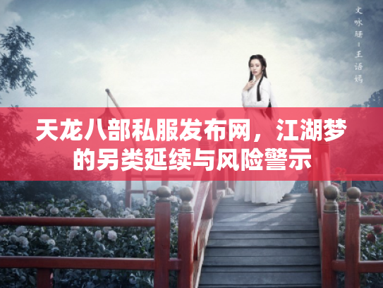 天龙八部私服发布网，江湖梦的另类延续与风险警示