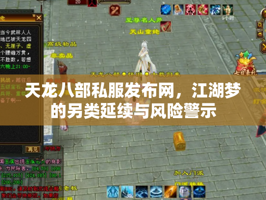 天龙八部私服发布网，江湖梦的另类延续与风险警示