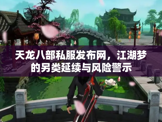 天龙八部私服发布网，江湖梦的另类延续与风险警示