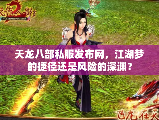 天龙八部私服发布网，江湖梦的捷径还是风险的深渊？