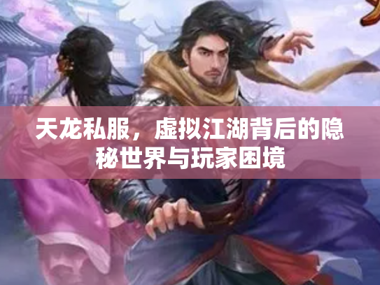 天龙私服，虚拟江湖背后的隐秘世界与玩家困境