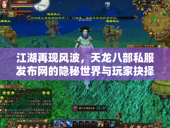 江湖再现风波，天龙八部私服发布网的隐秘世界与玩家抉择