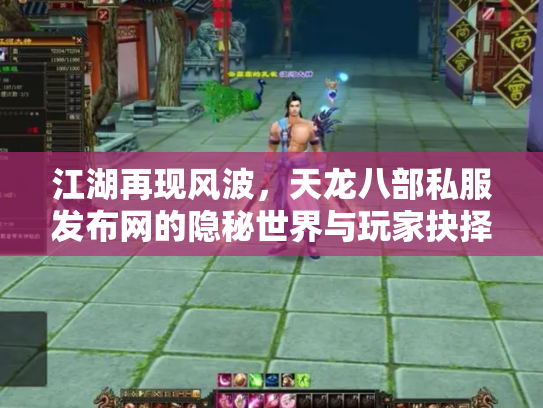 江湖再现风波，天龙八部私服发布网的隐秘世界与玩家抉择