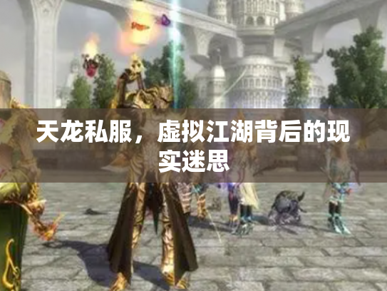 天龙私服，虚拟江湖背后的现实迷思