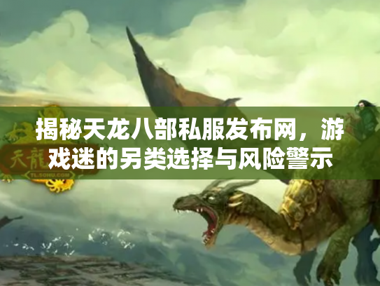 揭秘天龙八部私服发布网，游戏迷的另类选择与风险警示