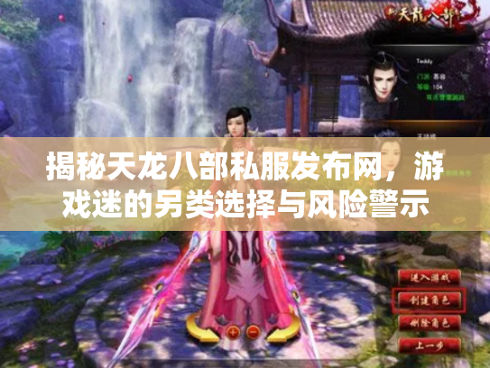 揭秘天龙八部私服发布网，游戏迷的另类选择与风险警示