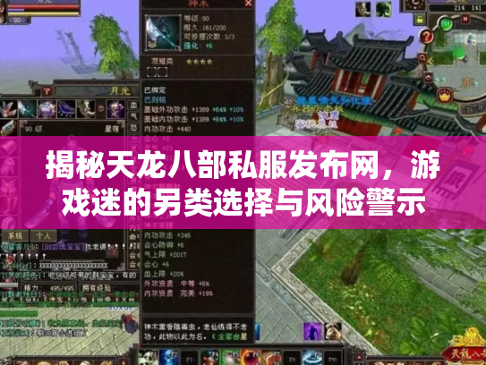 揭秘天龙八部私服发布网，游戏迷的另类选择与风险警示
