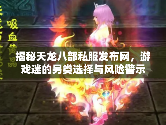 揭秘天龙八部私服发布网，游戏迷的另类选择与风险警示