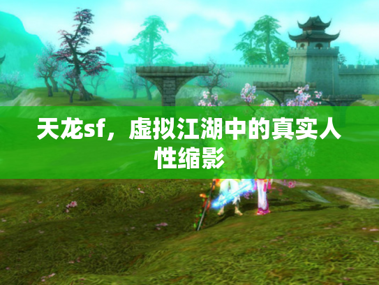 天龙sf，虚拟江湖中的真实人性缩影