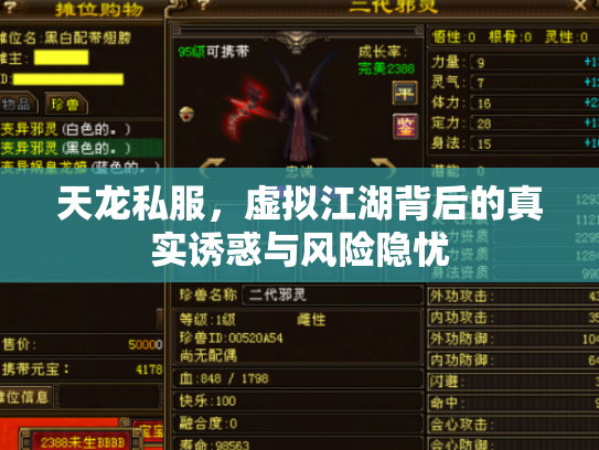 天龙私服，虚拟江湖背后的真实诱惑与风险隐忧