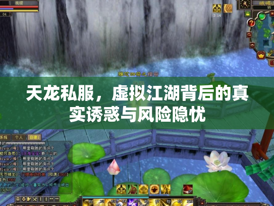 天龙私服，虚拟江湖背后的真实诱惑与风险隐忧