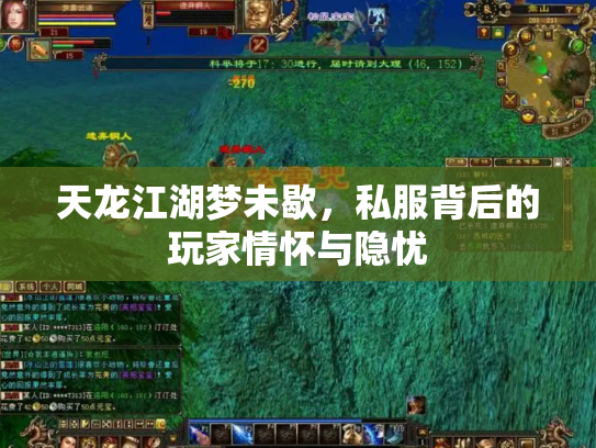 天龙江湖梦未歇，私服背后的玩家情怀与隐忧