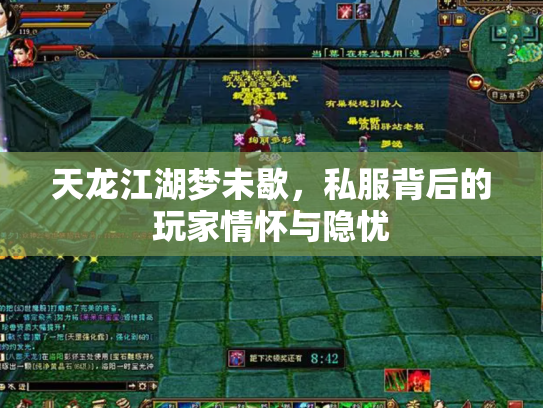 天龙江湖梦未歇，私服背后的玩家情怀与隐忧