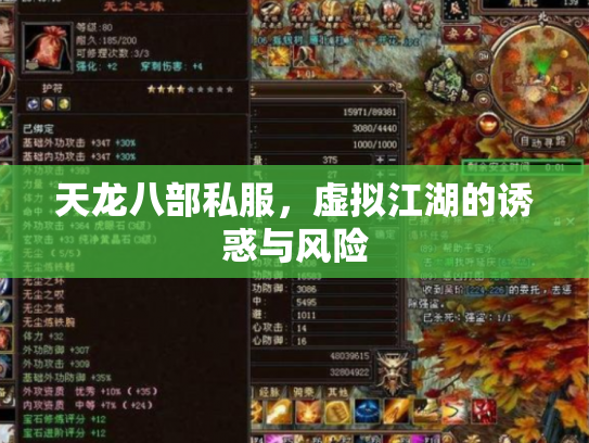 天龙八部私服，虚拟江湖的诱惑与风险