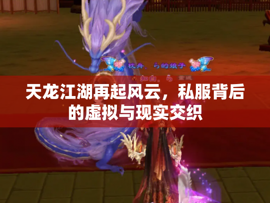 天龙江湖再起风云，私服背后的虚拟与现实交织