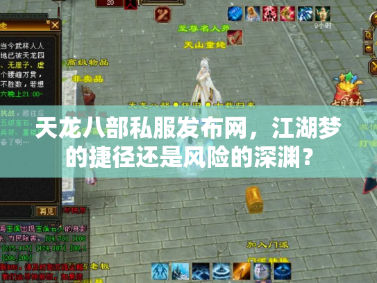 天龙八部私服发布网，江湖梦的捷径还是风险的深渊？